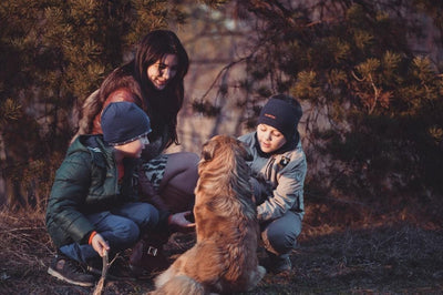 Hunderassen für Familien: die 5 besten Familienhunde