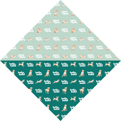 Bandana