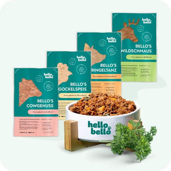 Nourriture fraîche pour un besoin énergétique de 374 kcal/jour