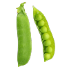 Erbsen