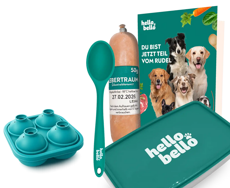Gratis Geschenk