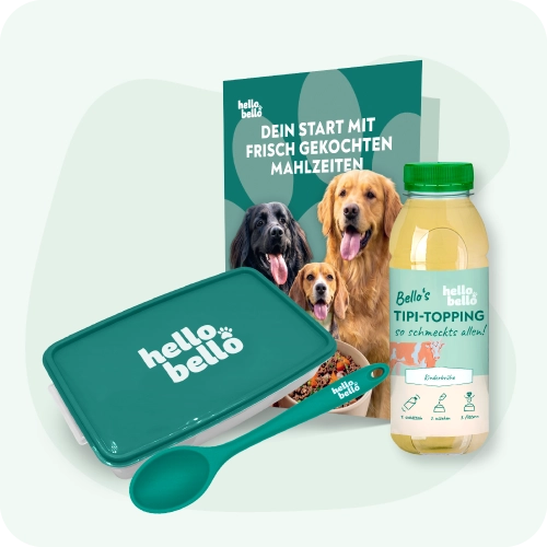 Kit de bienvenue