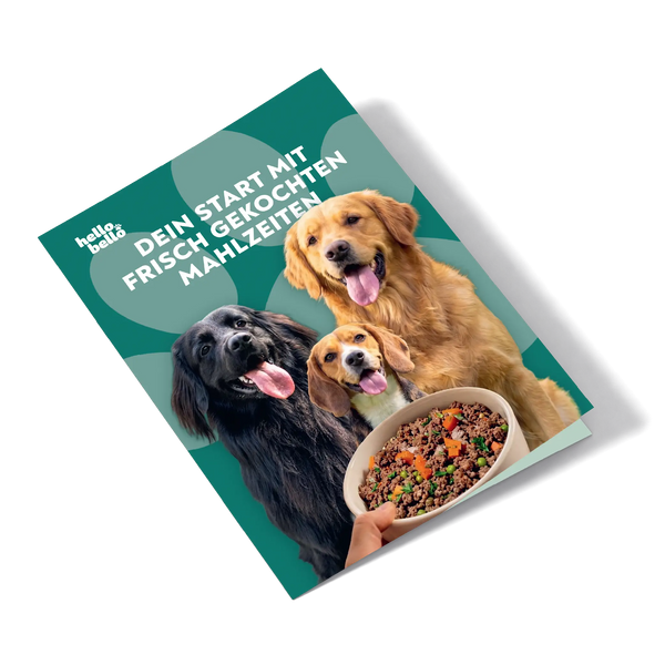 Brochure de bienvenue