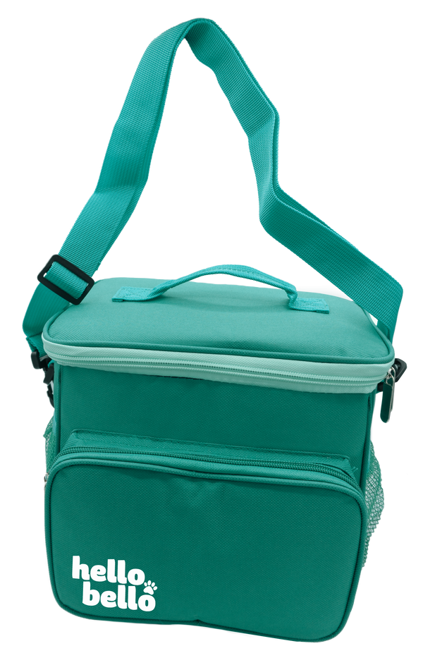 Kühltasche